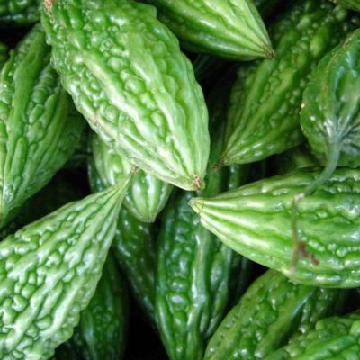 Bitter Gourd