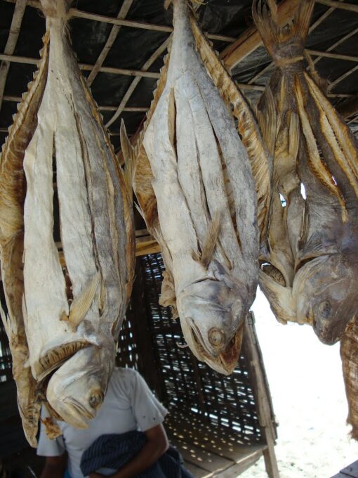 koral Dry fish