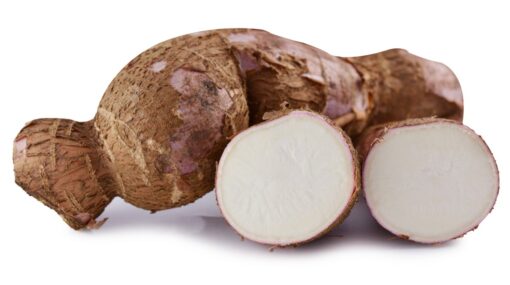 Cassava