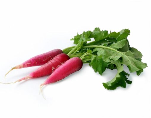 Radish Pink