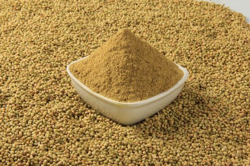 Coriander (Powder)