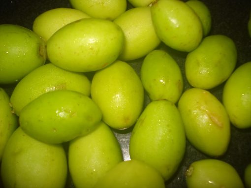 Hog Plum