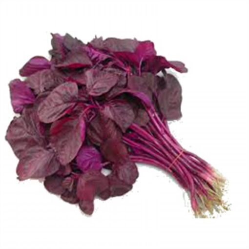 Red Amaranth