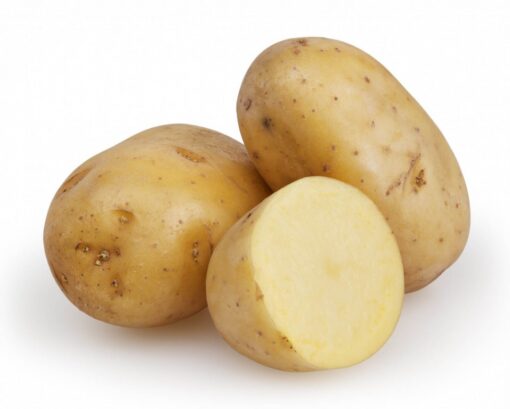 Potato