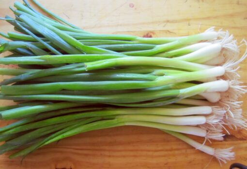 scallion