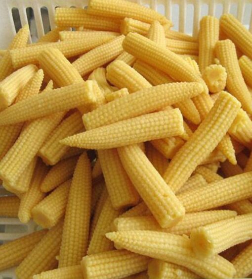 Baby Corn